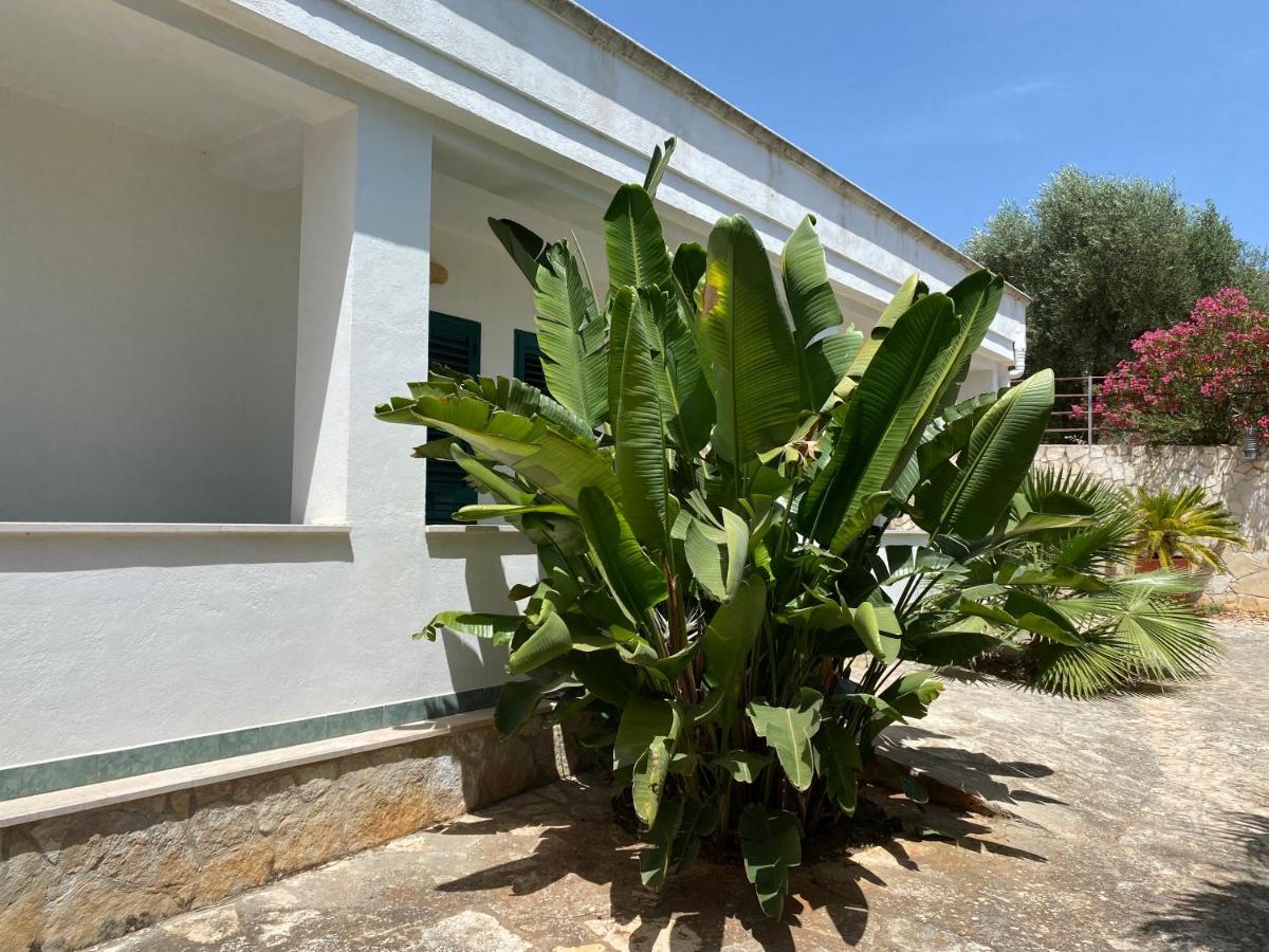 Citta Bianca Country Resort Ostuni Kültér fotó