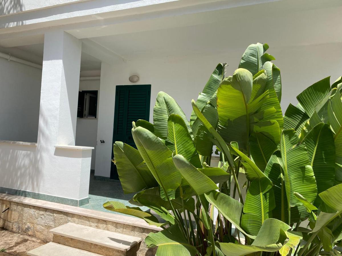Citta Bianca Country Resort Ostuni Kültér fotó