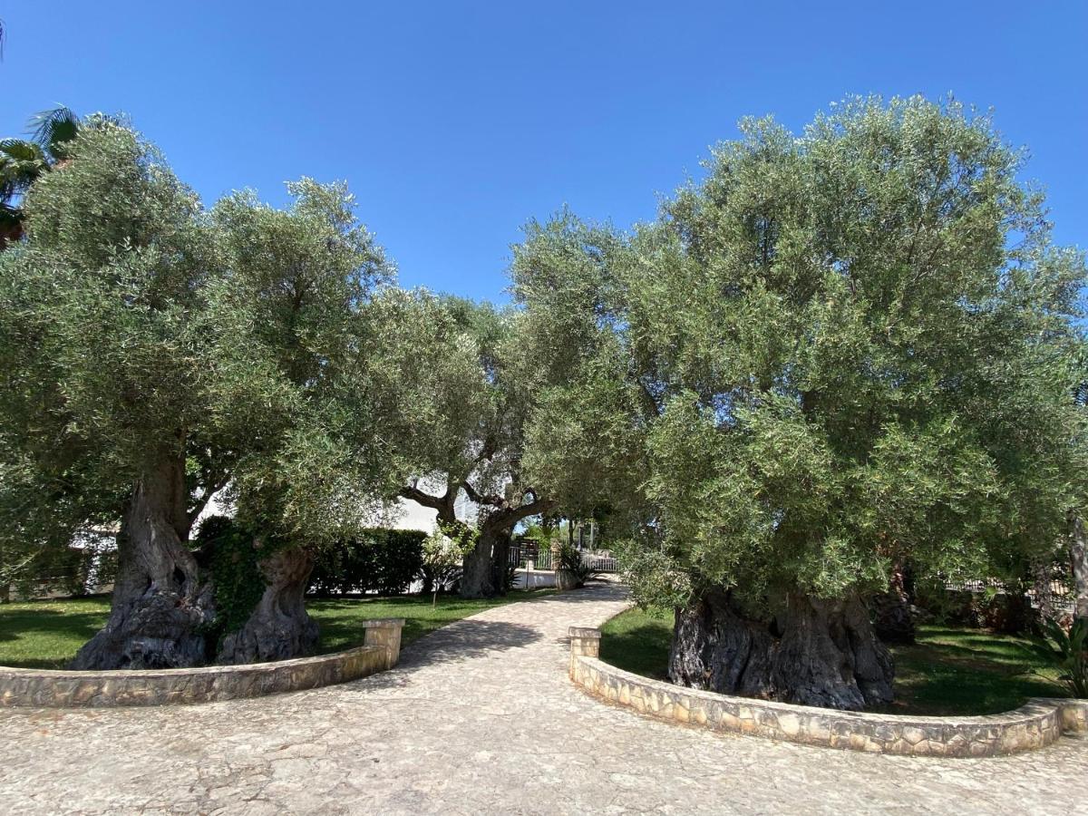 Citta Bianca Country Resort Ostuni Kültér fotó