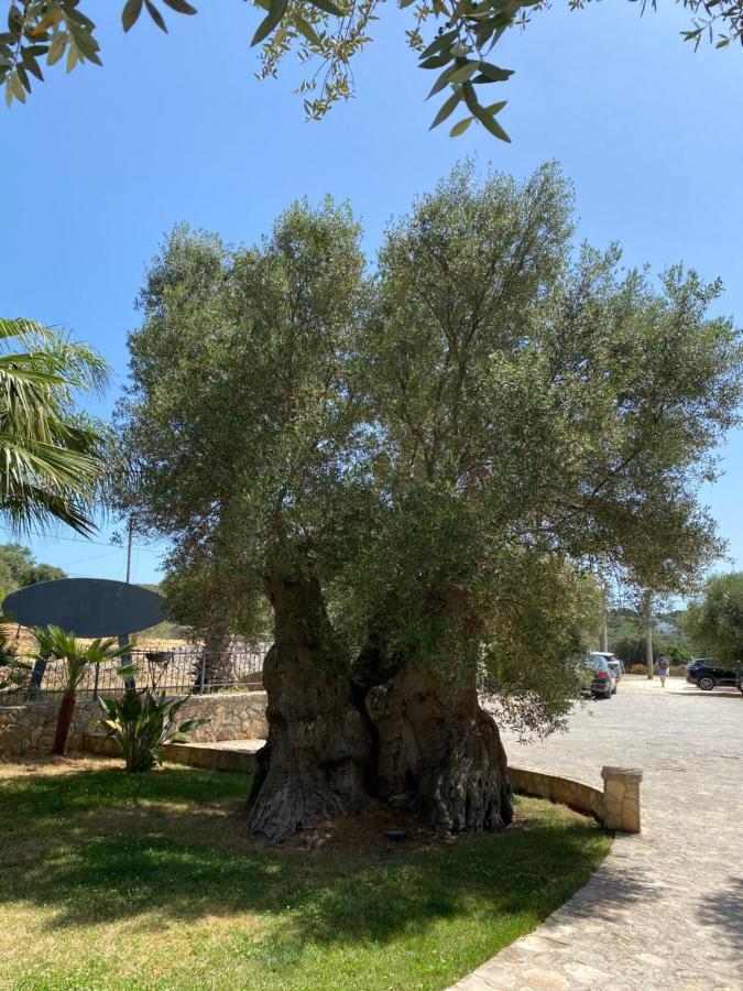 Citta Bianca Country Resort Ostuni Kültér fotó