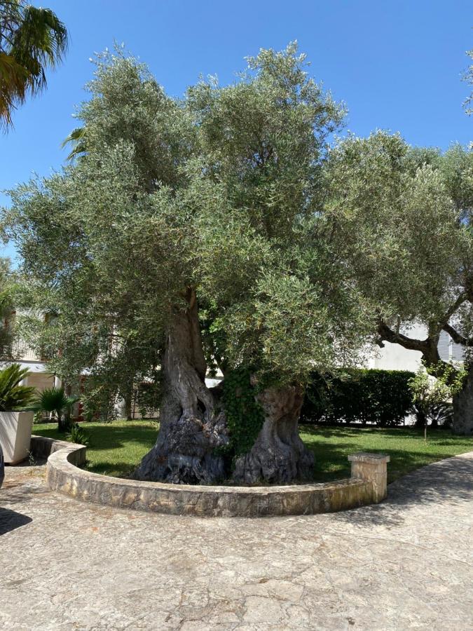 Citta Bianca Country Resort Ostuni Kültér fotó